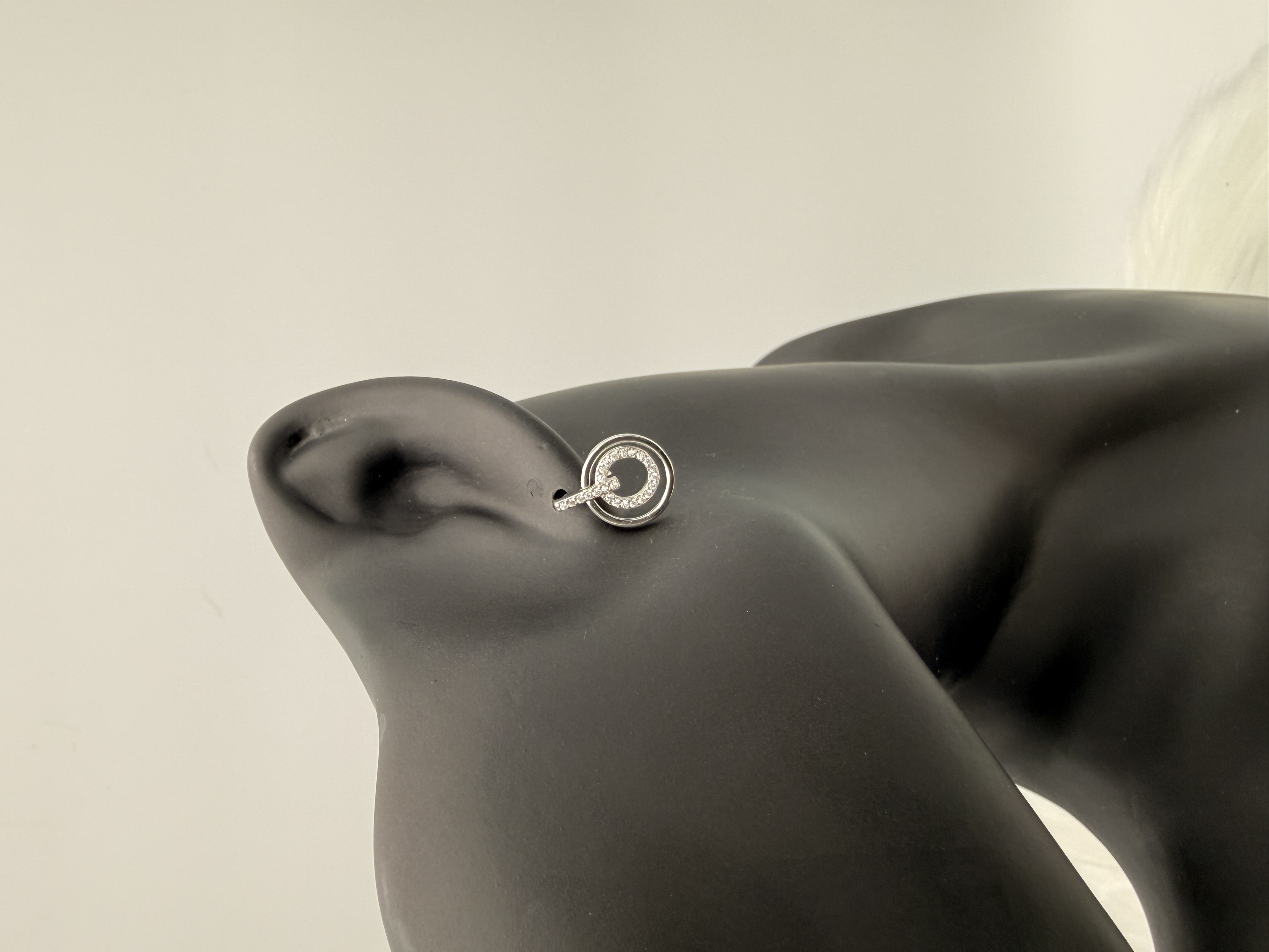 Infinity Circle - View 2