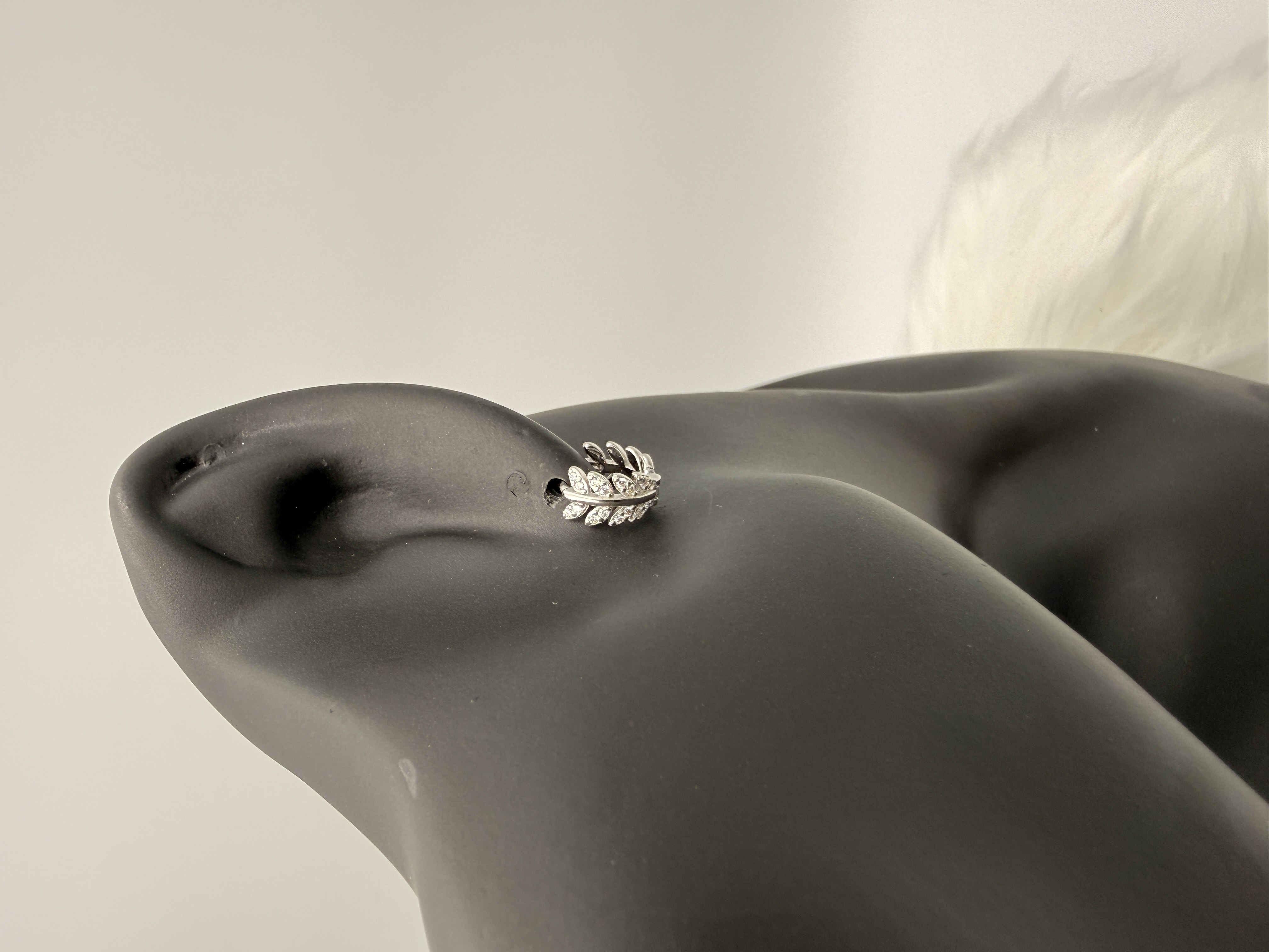 Nastro di Brillanza - View 2