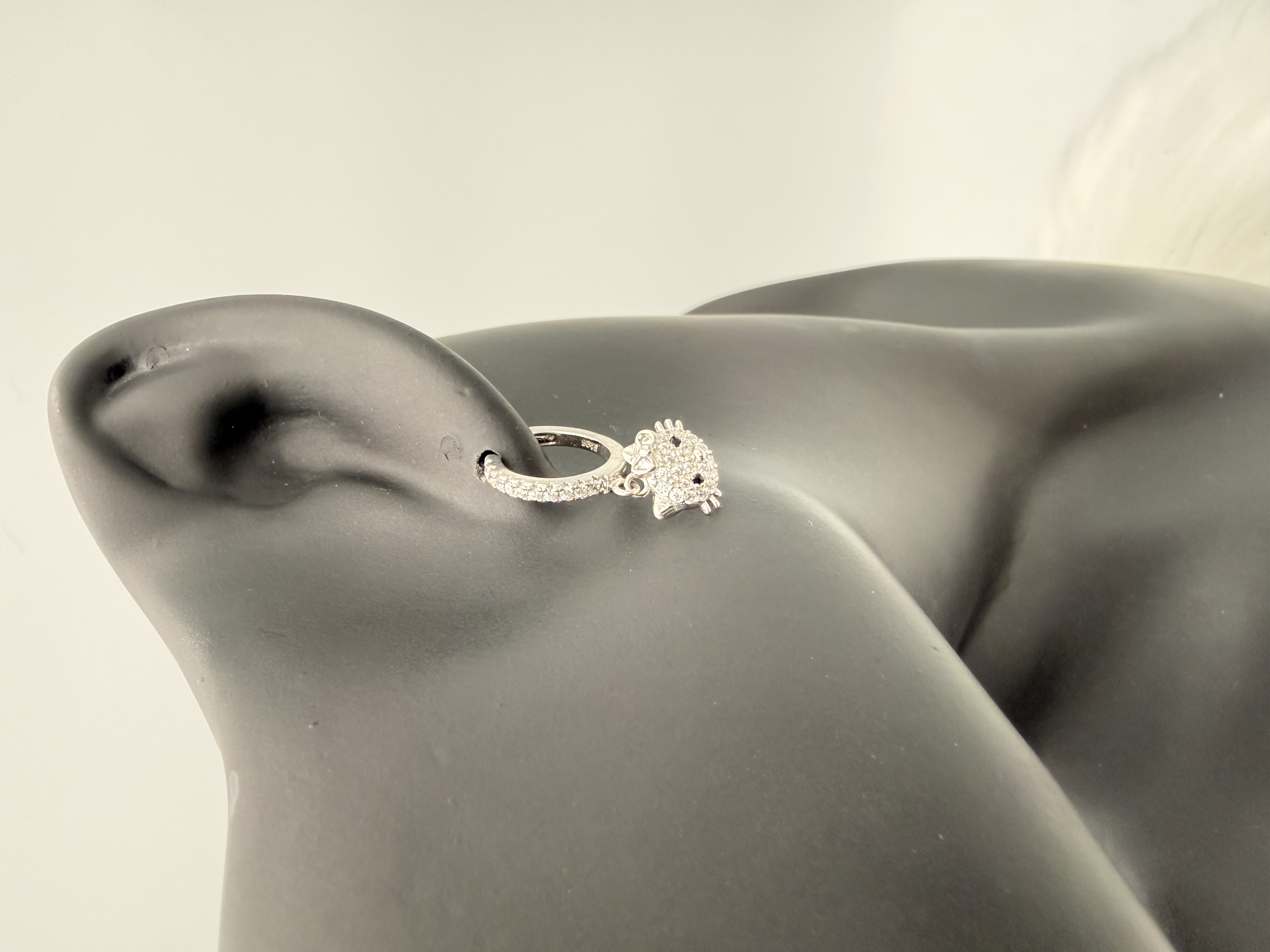 Gatto d’Argento - View 2