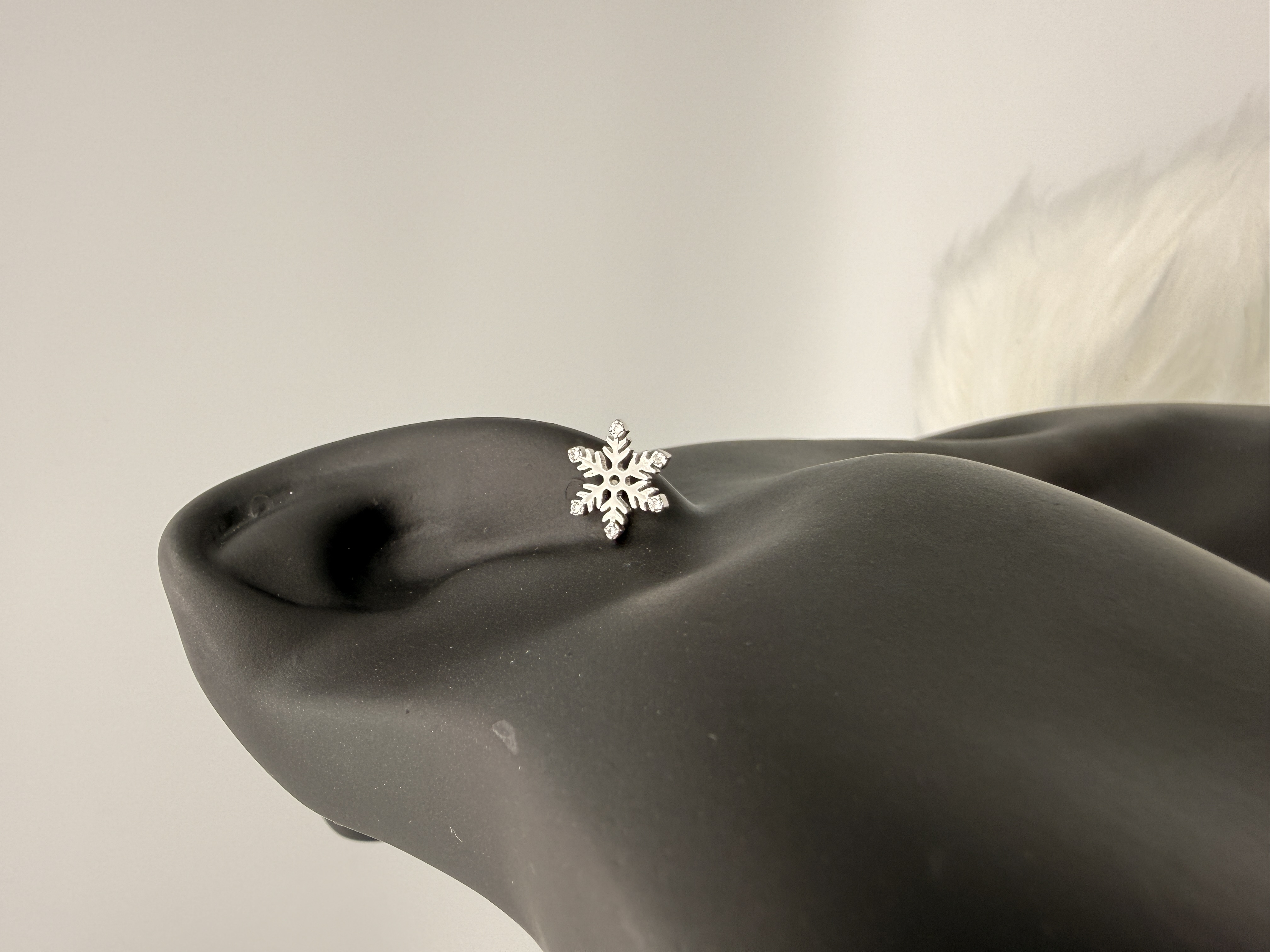 Fiocco di Neve - View 2