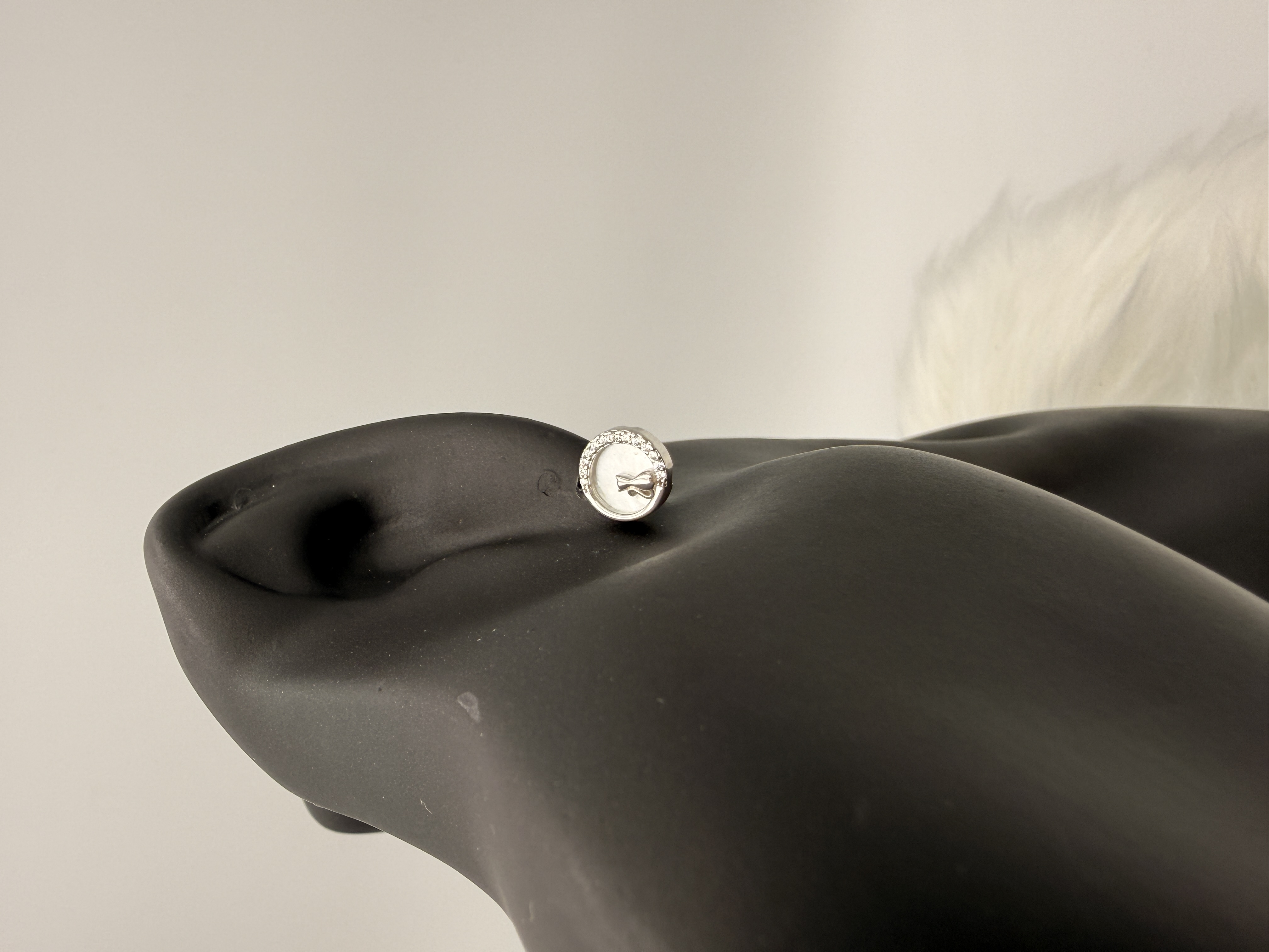 Cerchio di Neve - View 2