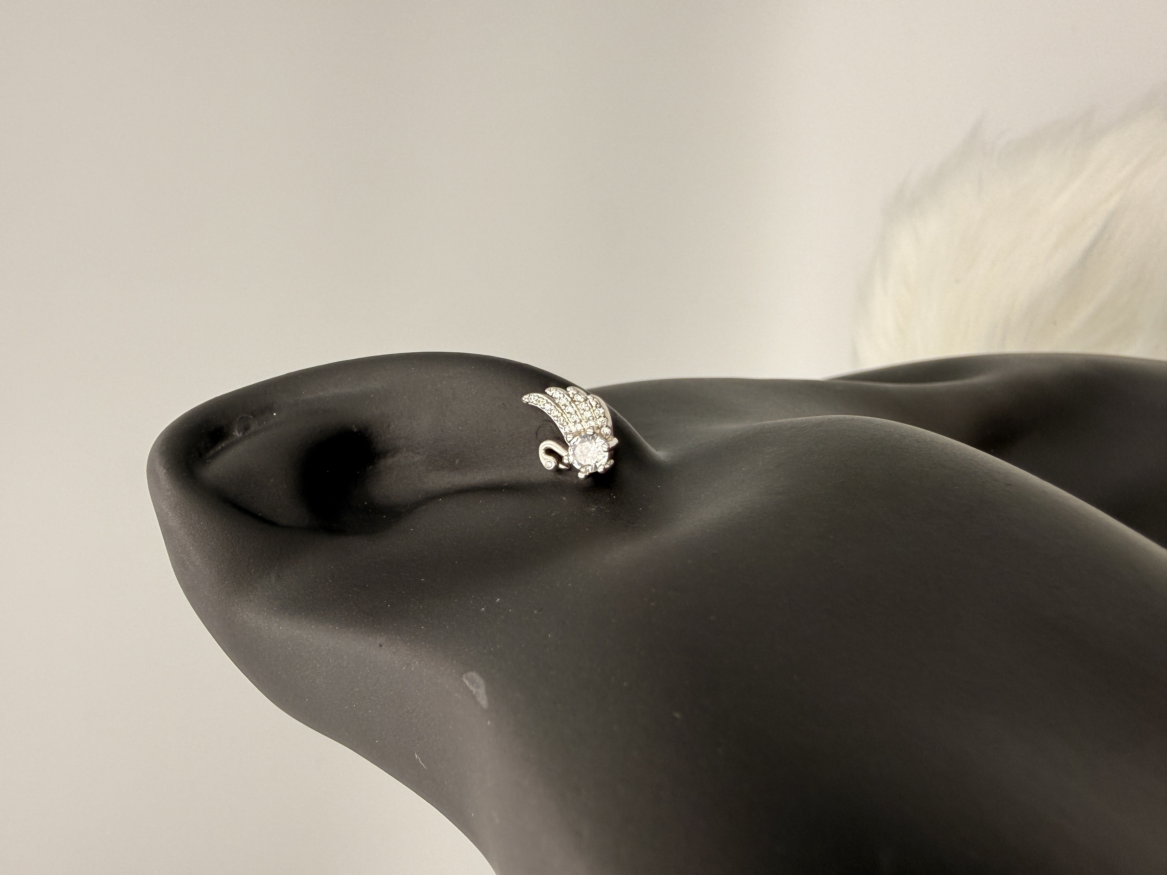 Ali di Neve - View 2